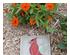233741_1 thumbnail image