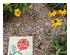 233741_2 thumbnail image