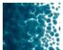 233891_1 thumbnail image