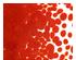 233900_1 thumbnail image