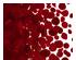233903_2 thumbnail image