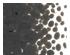 233907_2 thumbnail image