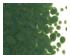 233908_2 thumbnail image