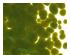 233909_2 thumbnail image