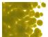 233913_2 thumbnail image