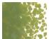 233920_2 thumbnail image