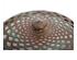 233928_3 thumbnail image