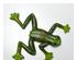 233931_4 thumbnail image