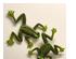 233931_5 thumbnail image