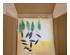 233981_6 thumbnail image