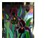 234030_5 thumbnail image