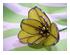 234030_6 thumbnail image