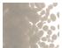 234131_1 thumbnail image