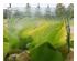 234246_3 thumbnail image
