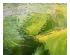 234246_4 thumbnail image