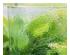 234246_5 thumbnail image