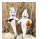 234288_4 thumbnail image