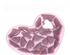 234430_4 thumbnail image