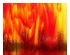 235098_6 thumbnail image