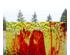 235102_1 thumbnail image