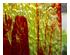 235102_2 thumbnail image
