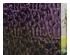 235114_1 thumbnail image