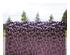 235114_2 thumbnail image