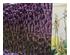 235114_3 thumbnail image