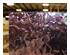 235114_5 thumbnail image