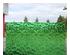 235122_2 thumbnail image