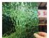235122_4 thumbnail image