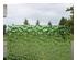 235126_2 thumbnail image