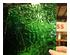 235134_3 thumbnail image
