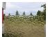 235146_2 thumbnail image