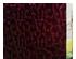 235154_1 thumbnail image