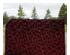 235154_2 thumbnail image