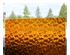 235162_2 thumbnail image