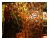 235162_4 thumbnail image