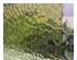 235166_3 thumbnail image