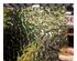 235166_4 thumbnail image