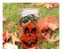 235488_3 thumbnail image