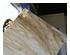 238348_8 thumbnail image