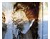 238404_5 thumbnail image