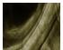 238404_8 thumbnail image