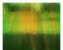 238566_1 thumbnail image