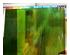 238566_5 thumbnail image