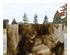 238570_3 thumbnail image