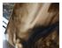 238570_5 thumbnail image