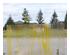 238574_5 thumbnail image