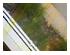 238574_6 thumbnail image
